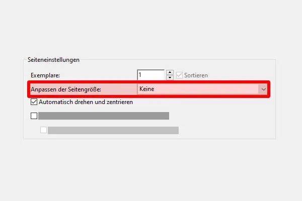 Screenshot der Druckeinstellungen für die Prüfschablonen. Hervorgehoben: "Anpassen der Seitengröße: Keine"