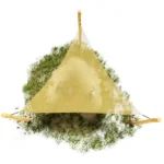 Dreieck-Sonnensegel an Robinienpfosten in der Draufsicht